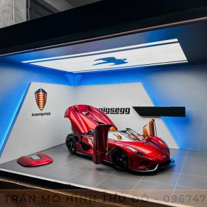 HỘP ĐỂ 1 XE THEO CHỦ ĐỂ HÃNG